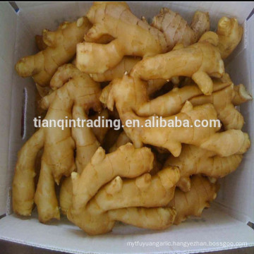 250g ginger/250g fresh giner /250g air dry ginger